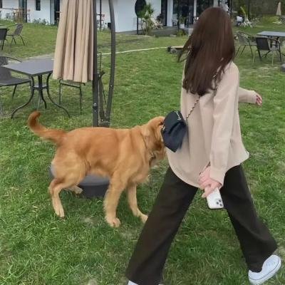 副总统