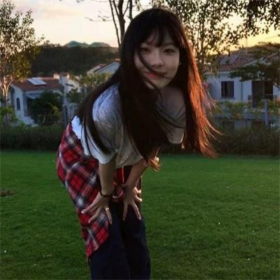 拜访森林